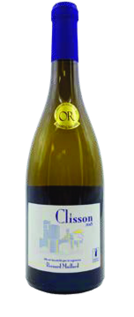 GRANITÉ DE CLISSON