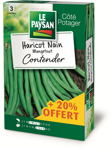 GRAINES DE HARICOTS 20% OFFERT