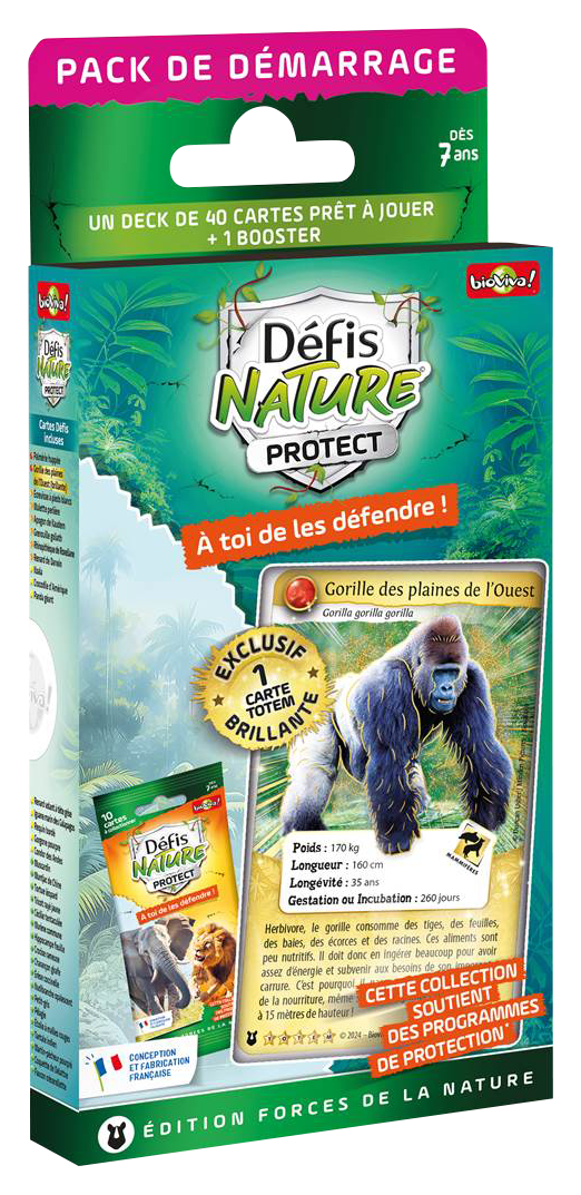 PACK DE DÉMARRAGE