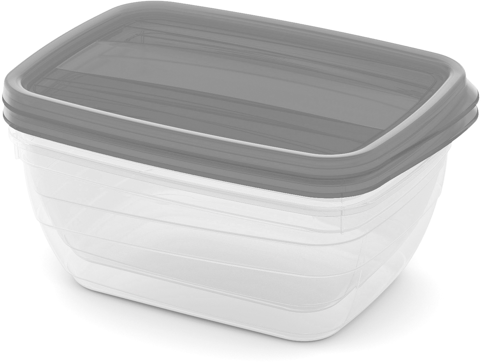 LOT DE 2 BOÎTES ALIMENTAIRES 1,3 L