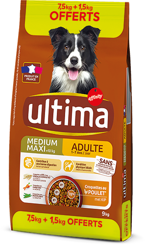CROQUETTES POUR CHIEN MÉDIUM MAXI