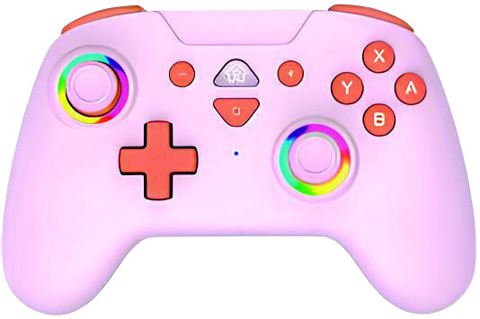 SÉLECTION DE MANETTES SANS FIL SWITCH