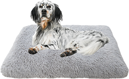 COUSSIN RECTANGULAIRE À MÉMOIRE DE FORME
POUR CHIEN ET CHAT