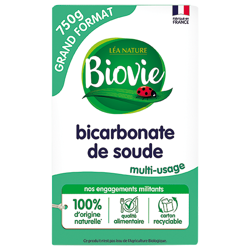 BICARBONATE DE SOUDE MÉNAGER