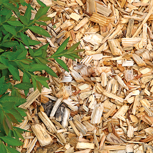 PLAQUETTE DE BOIS NATURELLES