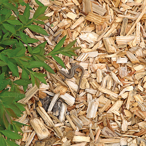 PLAQUETTES DE BOIS NATURELLES