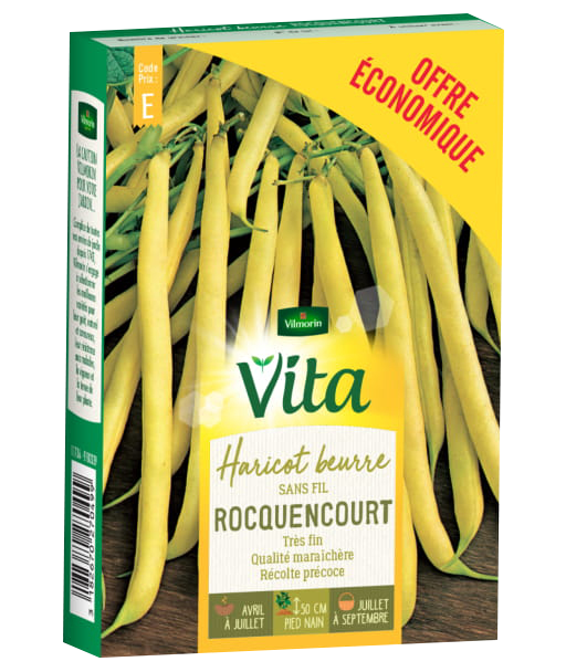 HARICOT BEURRE
ROCQUENCOURT