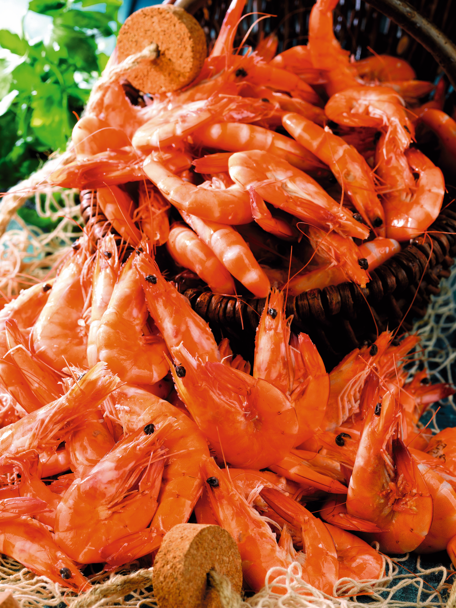 Crevettes cuites ASC