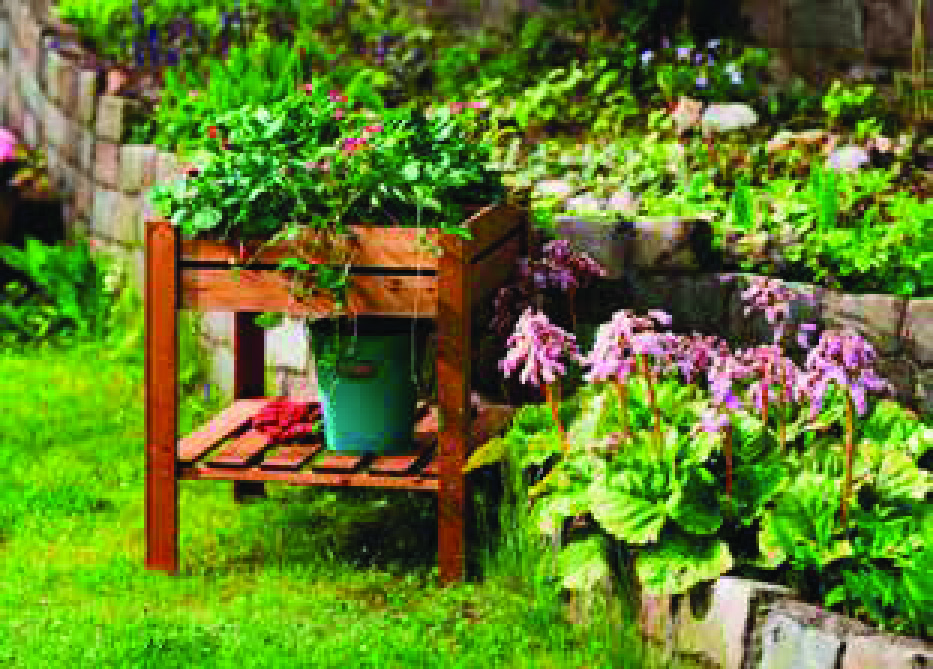 BAC POTAGER SUR PIEDS