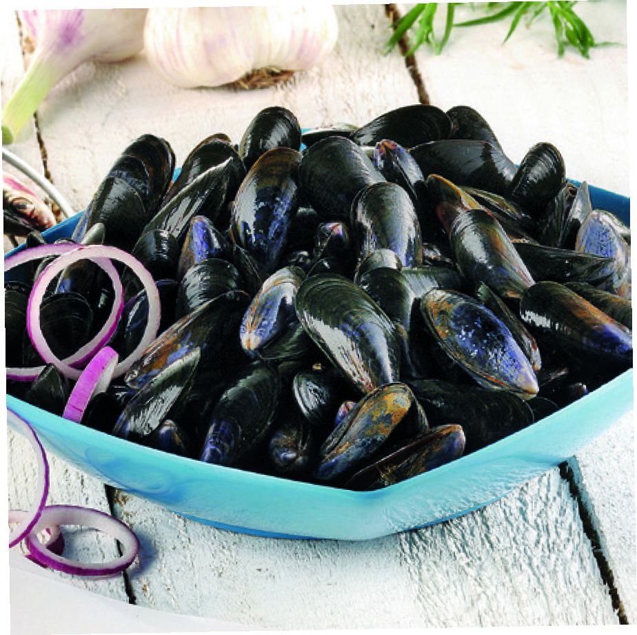 MOULES DE BOUCHOT