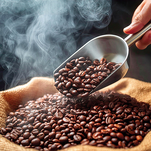 CAFÉ EN GRAIN GASCOGNE