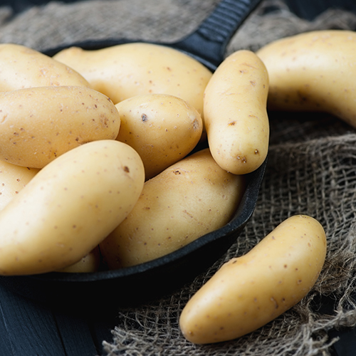 POMME DE TERRE PRINCESSE AMANDINE