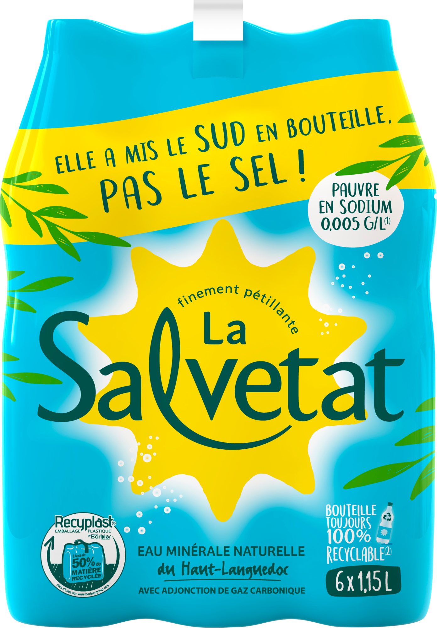 EAU MINÉRALE NATURELLE AVEC ADJONCTION DE GAZ CARBONIQUE