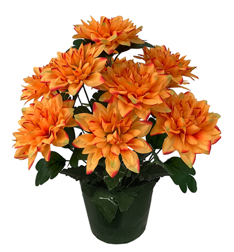 Pot DRILL
                                (Dahlias)