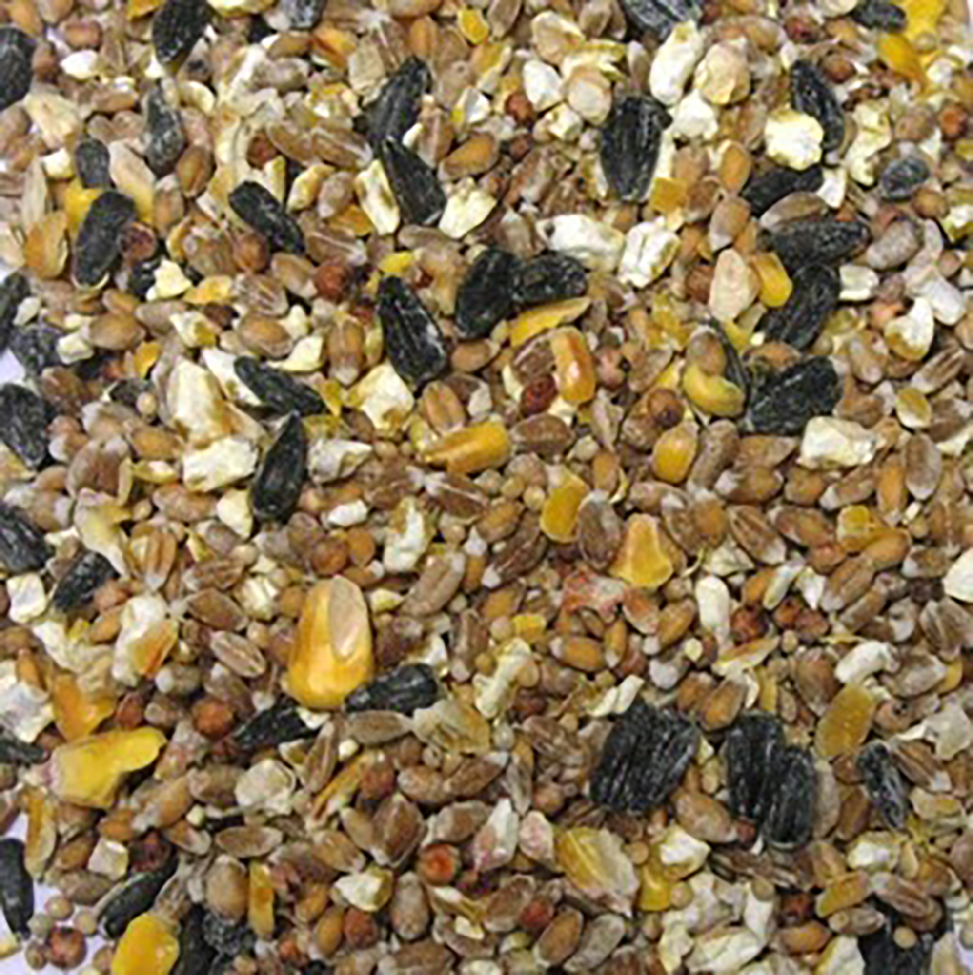 MÉLANGE OISEAUX DU CIEL