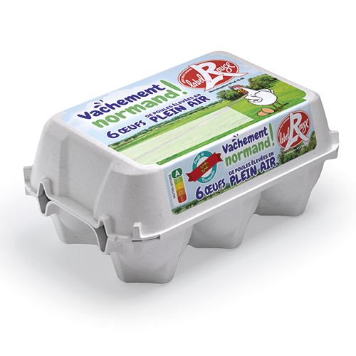 6 ŒUFS PLEIN AIR LABEL ROUGE