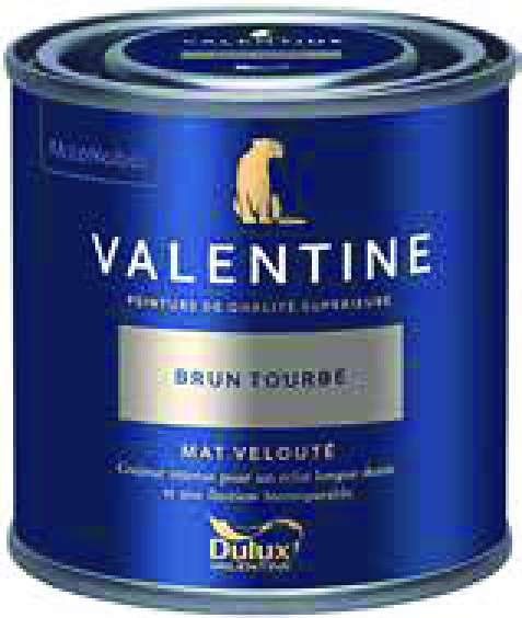 PEINTURE(2) MAT VELOUTÉ