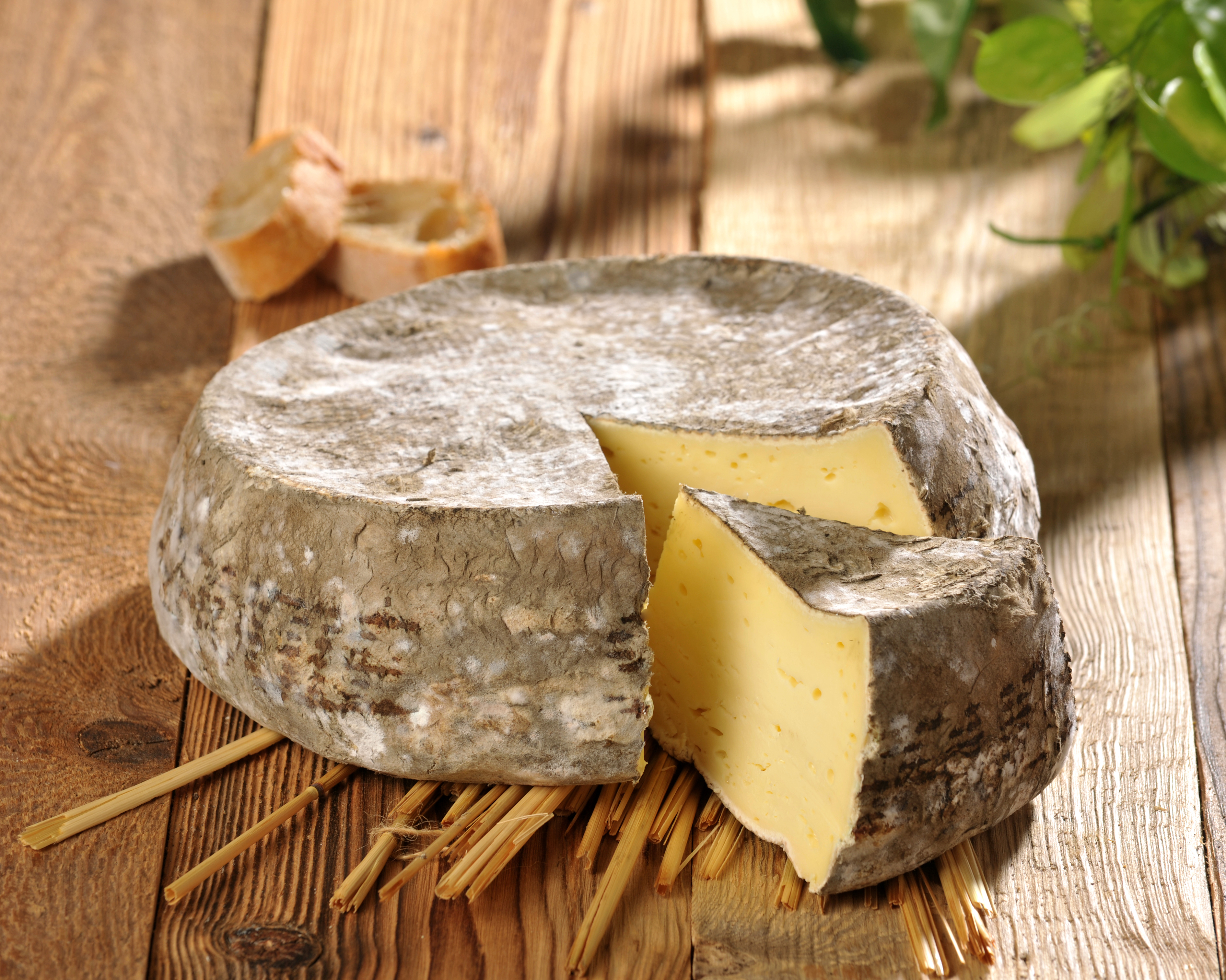 IGP TOMME DE SAVOIE 30% MAT.GR.