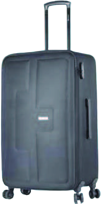 VALISE TROLLEY