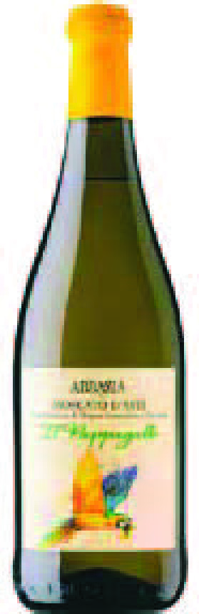 VIN BLANC DOCG(3) MOSCATO D’ASTI
