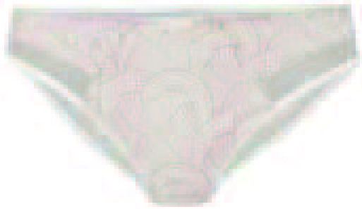 SLIP