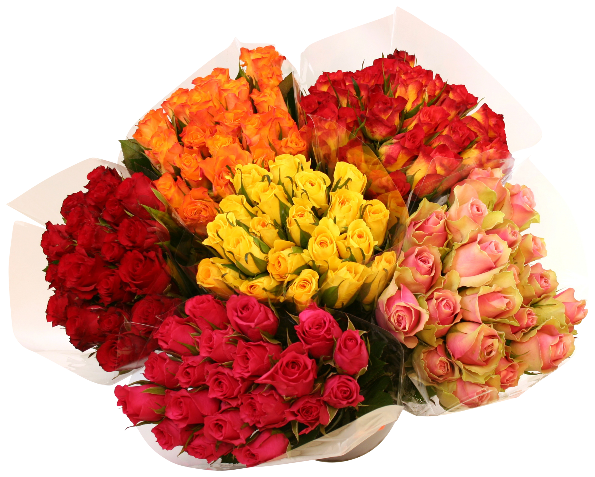 Bouquet de 20 roses