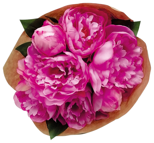 BOUQUET DE 7 PIVOINES