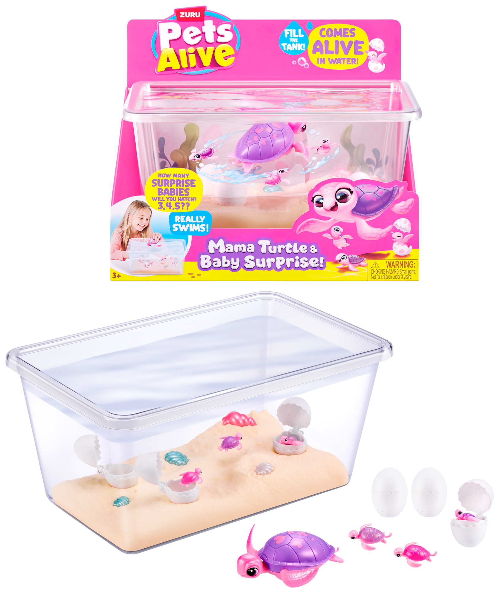 Mama tortue et bébés surprise