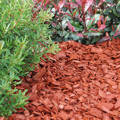 PLAQUETTES DE BOIS ROUGE