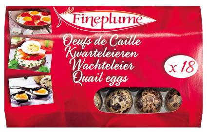 OEUFS DE CAILLE FRAIS X18