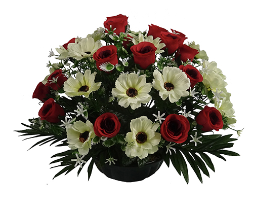 Coupe AMELIE
(Roses, bonnys)