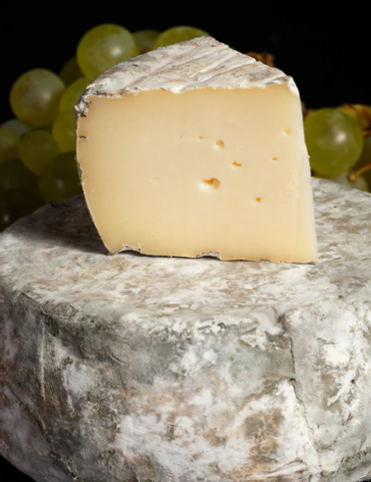 TOMME D’AUVERGNE 30% DE MAT. GR.(1)