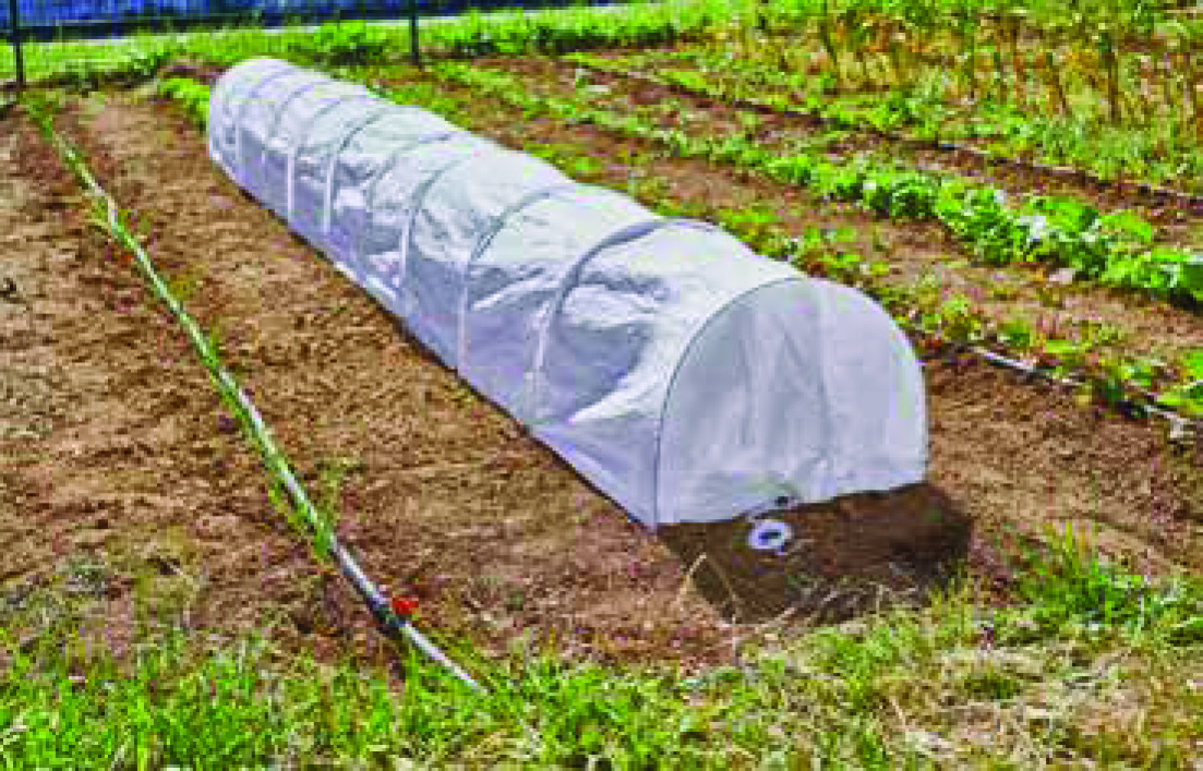 TUNNEL DE PROTECTION