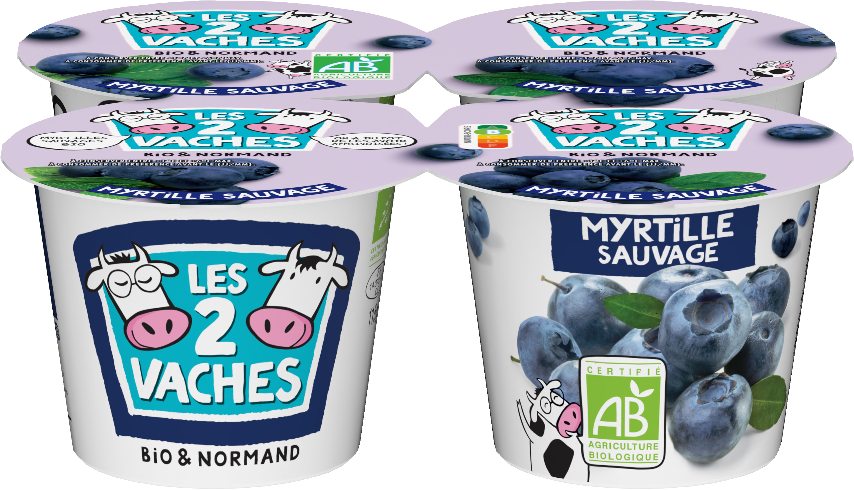 YAOURT BRASSÉ BIO
MYRTILLE SAUVAGE