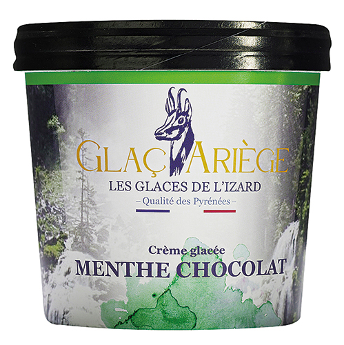 CRÈME GLACÉE MENTHE CHOCOLAT