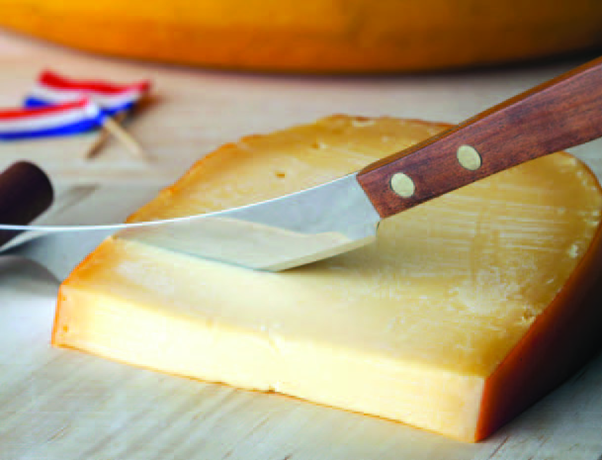 GOUDA JEUNE 31% MAT. GR.