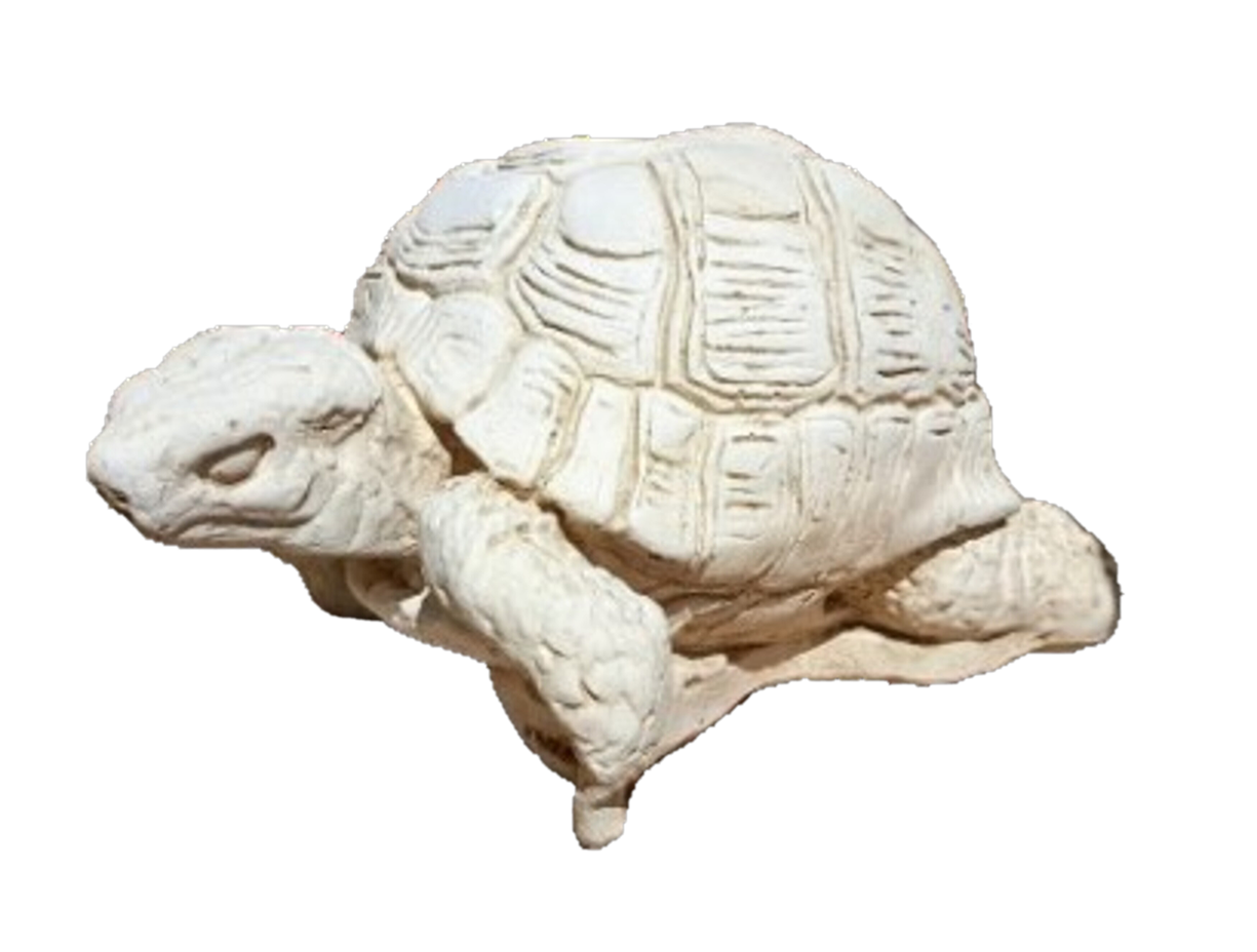 TORTUE EN PIERRE BLANCHE
