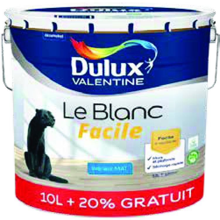 PEINTURE MURS ET BOISERIES(2)