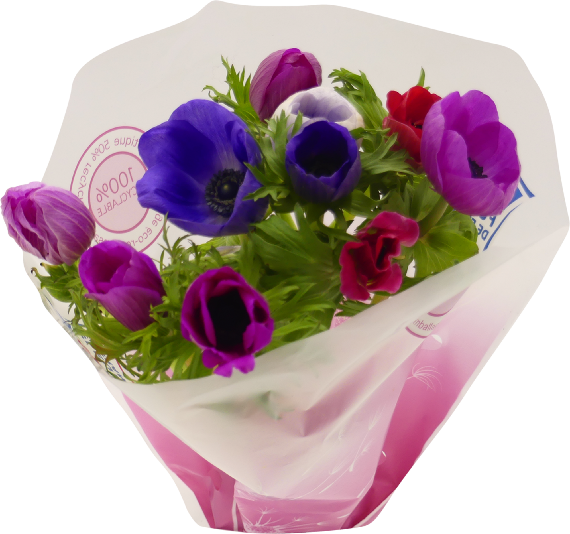 Bouquet de 10 anémones