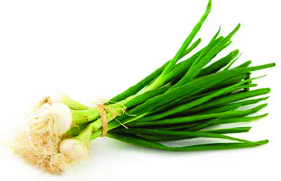 OIGNON ROUGE OU BLANC