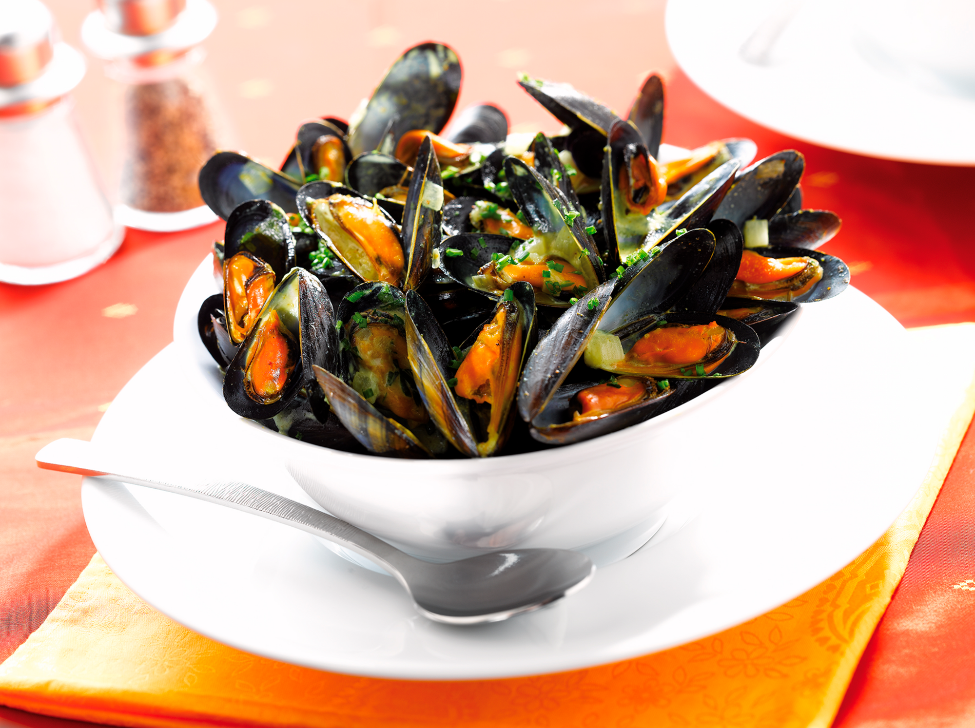 Moules de Hollande