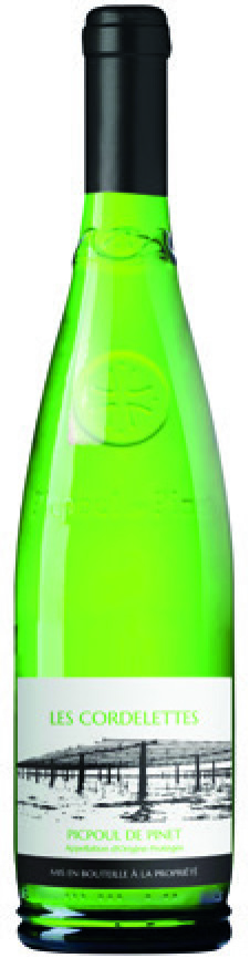 AOP(1) PICPOUL DE PINET LES CORDELETTES 2024 
