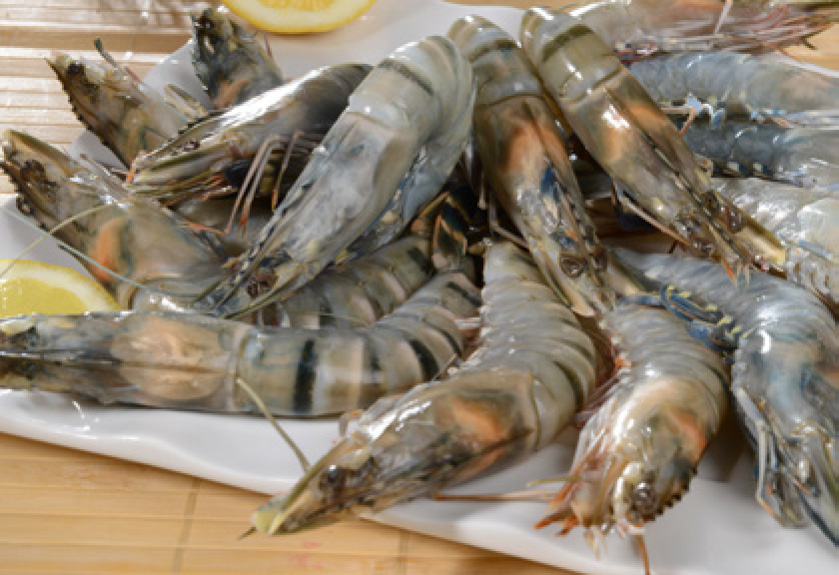 CREVETTES CRUES*