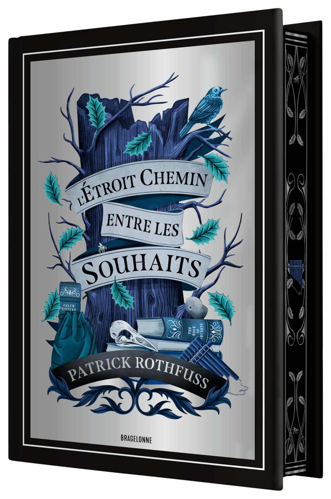 L'ÉTROIT CHEMIN ENTRE LES SOUHAITS