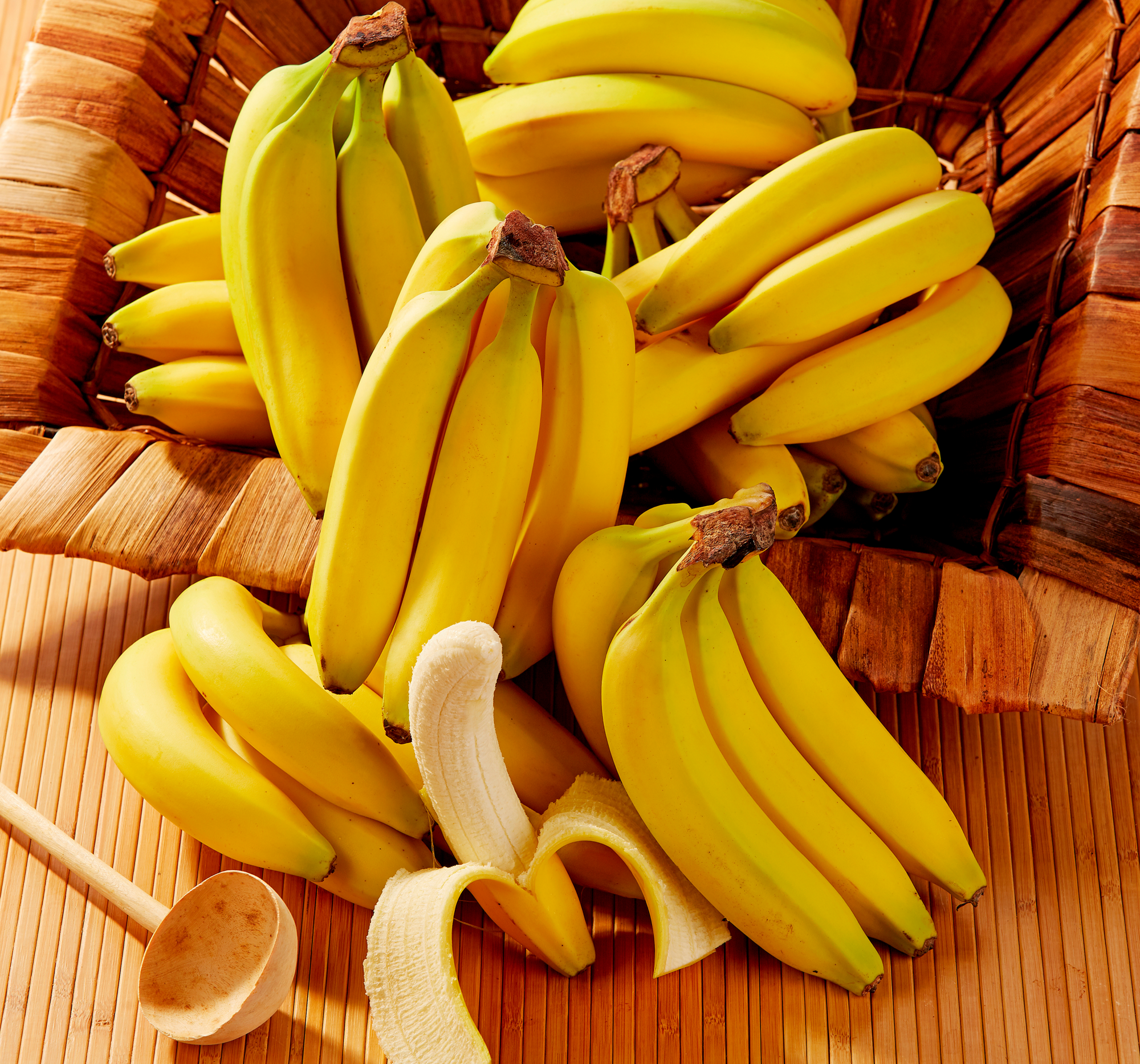 BANANES MAX HAVELAAR BIO