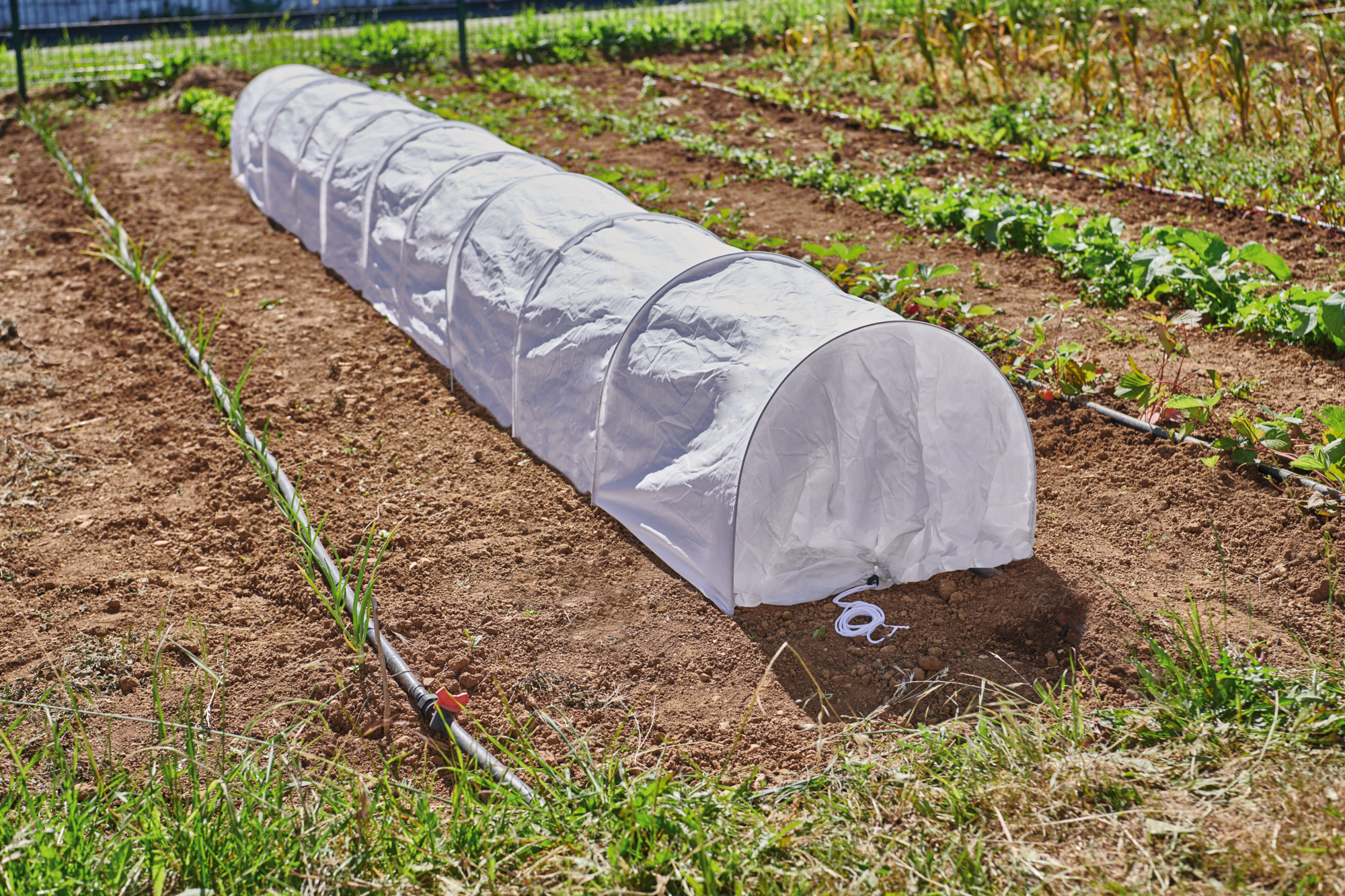 TUNNEL DE PROTECTION "BEAUX JOURS"