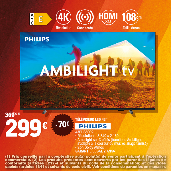 TÉLÉVISEUR LED 43”