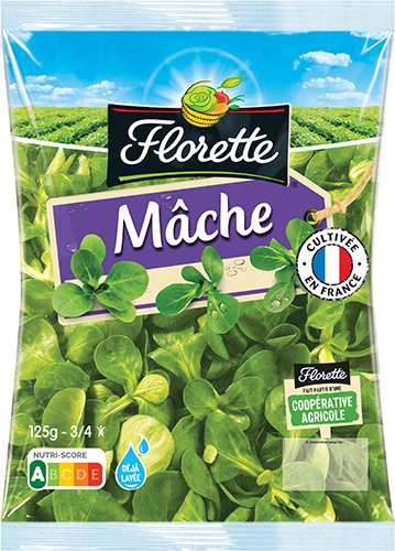 MÂCHE