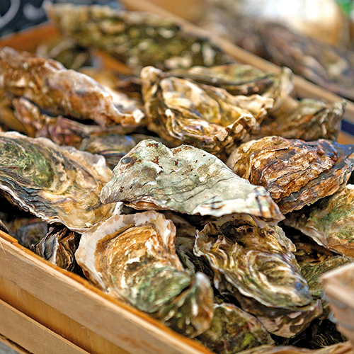 HUÎTRES DE BOUZIGUE N°3