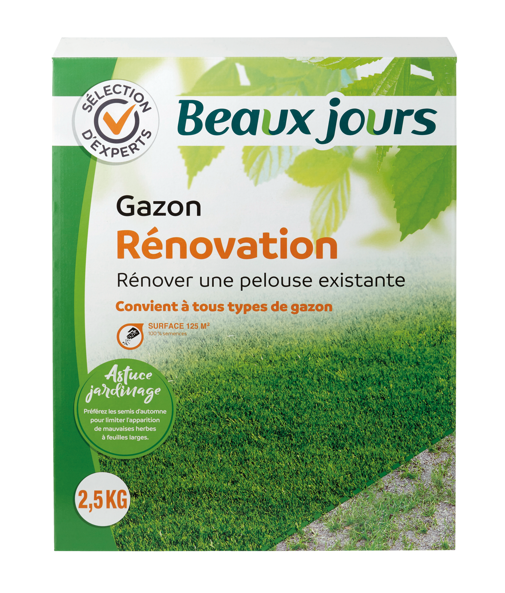 GAZON RÉNOVATION
